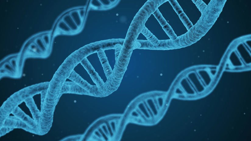Dos españoles crean una aplicación para utilizar el ADN como 'disco duro'