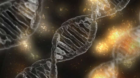 Crean el mayor árbol genealógico del mundo: Así se une a 13 millones de personas de 11 generaciones