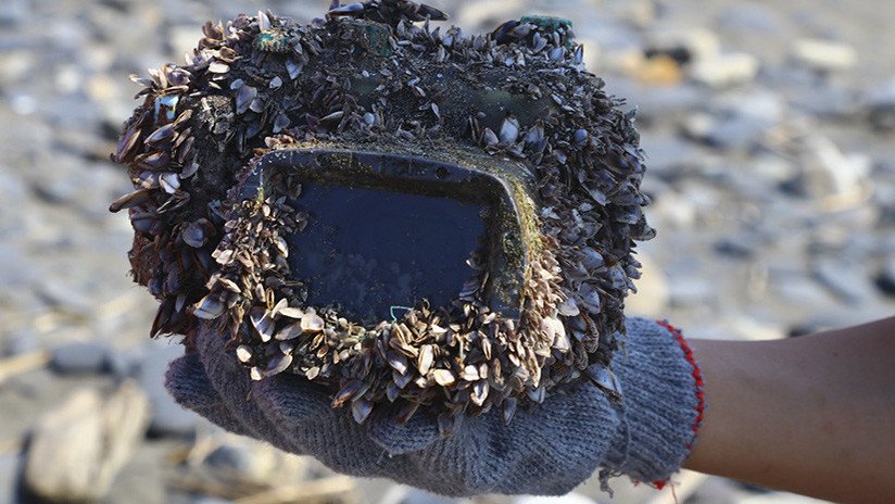 FOTOS: El increíble viaje de una cámara que pasó 2 años perdida en el mar y regresó a su dueña