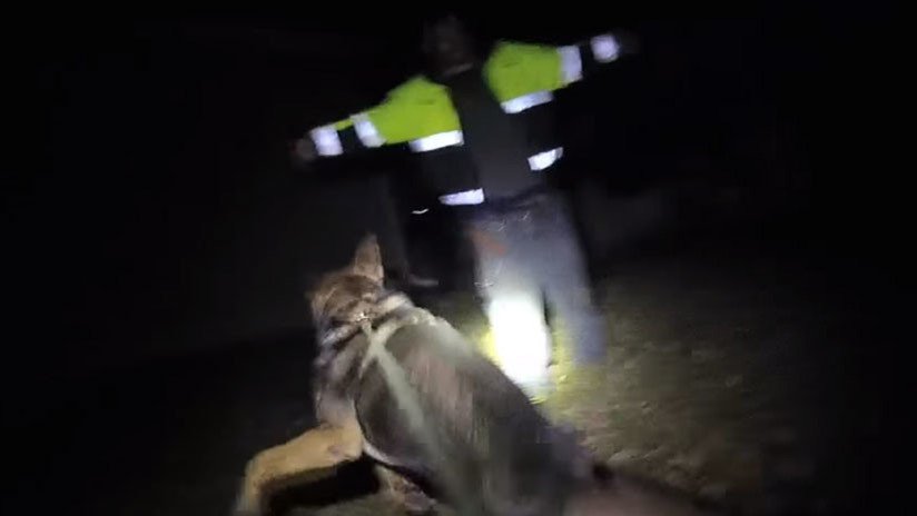 VIDEO: Un estadounidense muerde dos veces al perro del policía que acudió a detenerlo