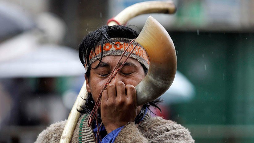 "Borrachos que no trabajan": Cambian la Wikipedia del Pueblo Mapuche desde IP del Gobierno de Chile
