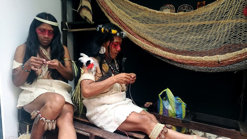 Las mujeres que se asociaron en la amazonía ecuatoriana contra la caza y la expansión petrolera