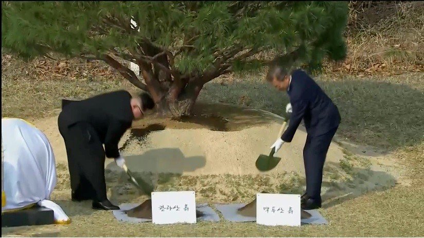VIDEO: Los líderes de las dos Coreas plantan un árbol en la frontera como símbolo de paz