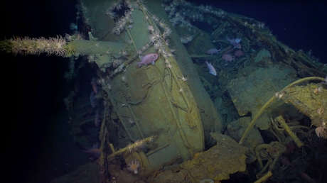 VIDEO: Un dron filma en aguas profundas imágenes de un submarino de la Primera Guerra Mundial