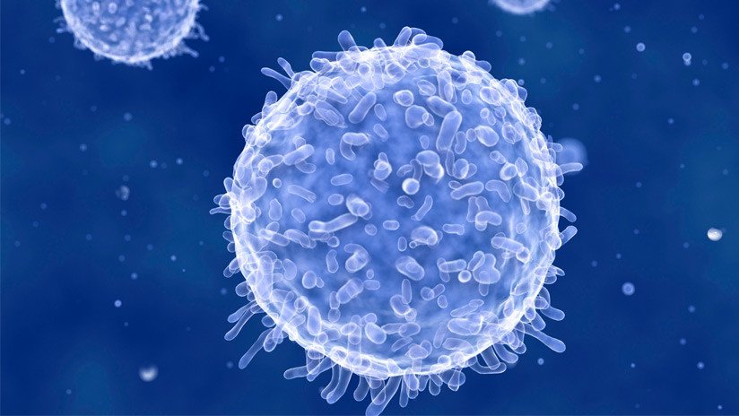 Planean crear células 'ultraseguras' resistentes a multitud de enfermedades