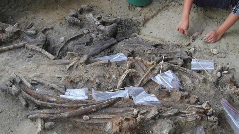 Hallan herramientas que hace 700.000 años usó un misterioso ancestro humano en Filipinas