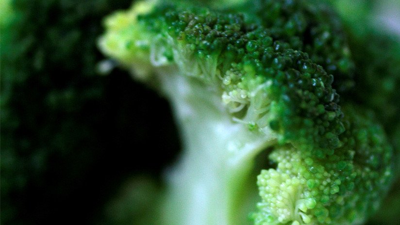 "El brócoli es un salvavidas": Un médico revela por qué es el vegetal que más hay que comer