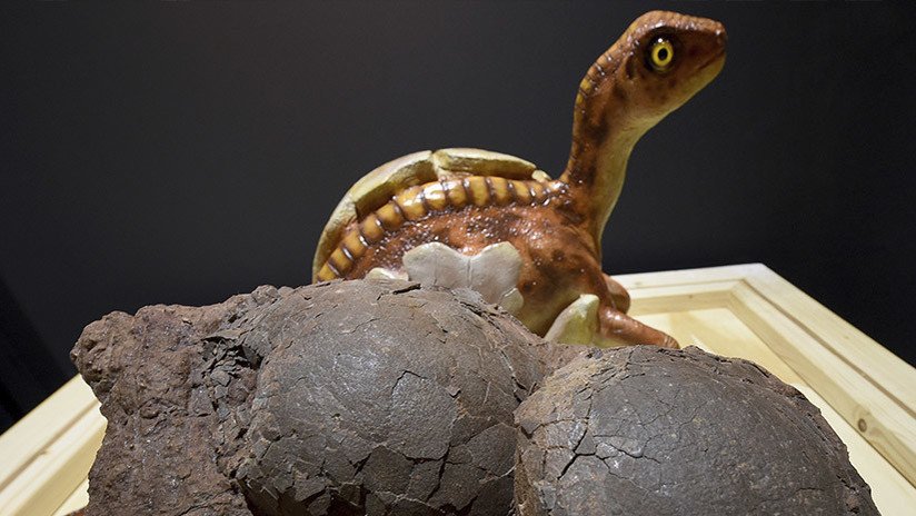 ¿Cómo hacían los dinosaurios para incubar los huevos sin aplastarlos?