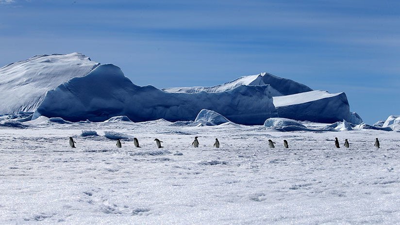 Hallan enormes cañones 'escondidos' en la Antártida (y puede ser una mala noticia para el planeta)