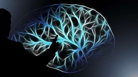 Descubren que el nivel de ingresos de una persona está relacionado con la anatomía de su cerebro