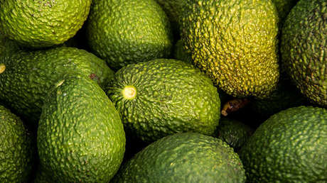 El 'Amazon chileno' vende a un joven un celular por 58 kilos de aguacate (FOTO, VIDEO) 