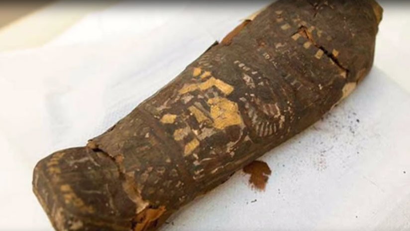 Un escáner muestra que una momia egipcia de halcón no es nada de lo que se creía hasta ahora