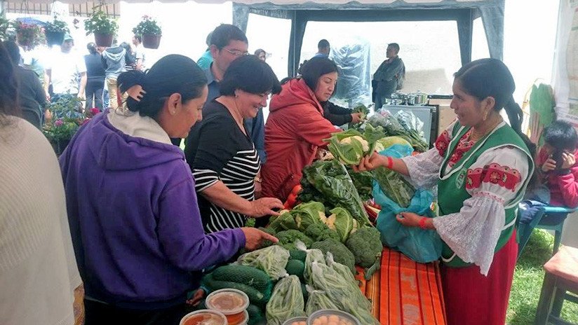 En los barrios del sur de Quito apuestan por la "agricultura y alimentación del futuro"