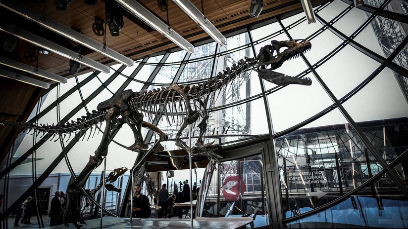 Subastan por 2 millones de euros esqueleto de un dinosaurio desconocido y decepcionan a científicos