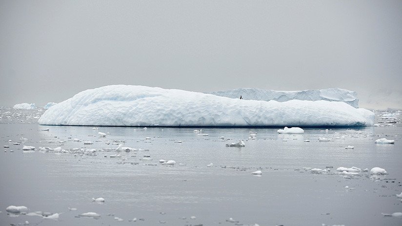 FOTO: El iceberg más grande procedente de la Antártida está a punto de desaparecer 