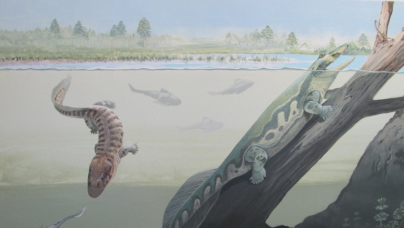 Hallazgos fósiles en Sudáfrica disipan el mito 'tropical' de la evolución animal