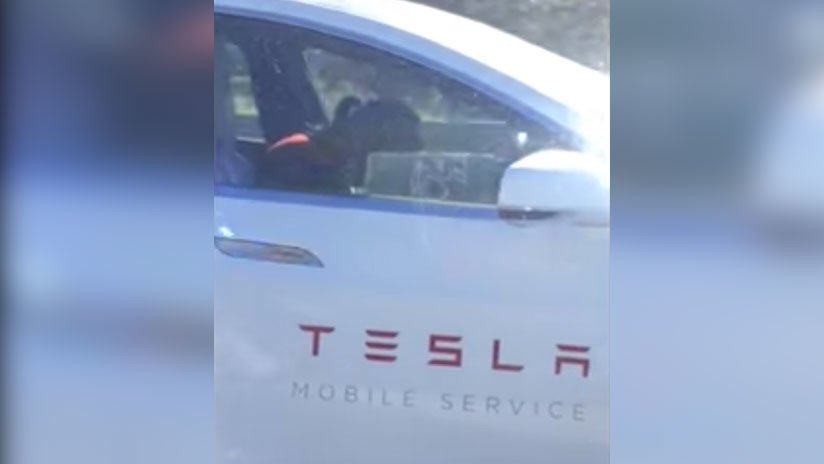 VIDEO: Un empleado de Tesla parece quedarse dormido al volante con el piloto automático en marcha
