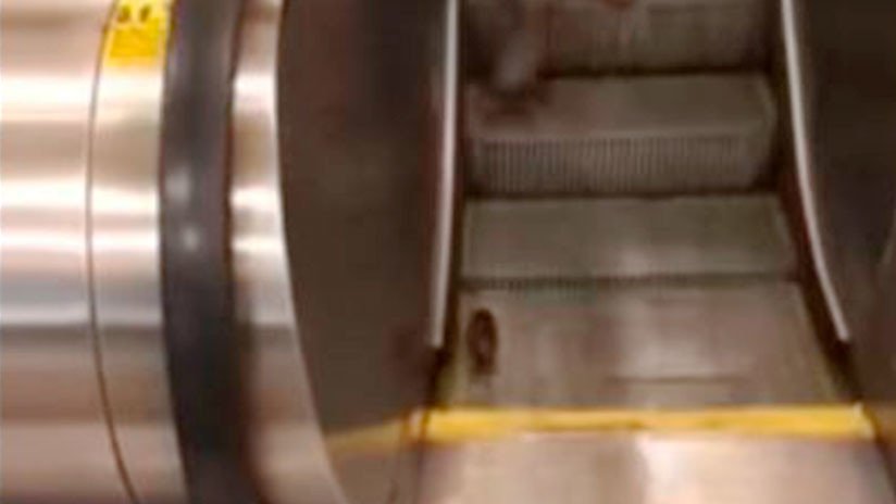 VIDEO: El triste final del 'entrenamiento cardio' de una rata en una escalera de metro de Nueva York