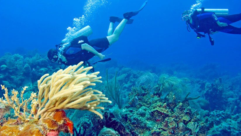 Unesco saca la barrera de arrecifes de Belice de la Lista de Patrimonio Mundial en Peligro