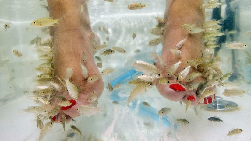 Una joven pierde todas las uñas de los pies tras someterse a una pedicura con peces