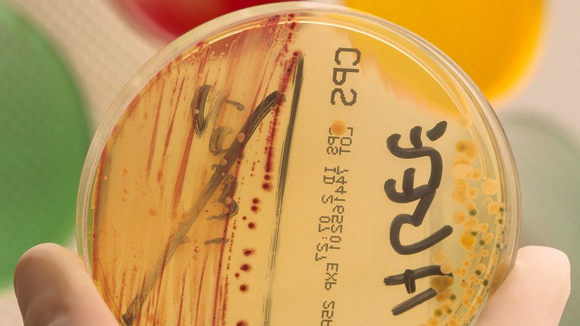 Hallan dos biomarcadores de la sepsis que podrían salvar miles de vidas