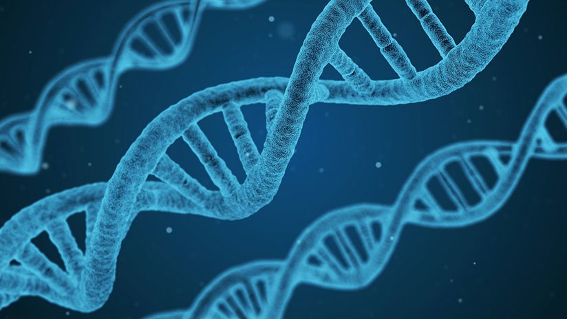 Científicos encuentran un gen capaz de ayudar a 'frenar' el cáncer
