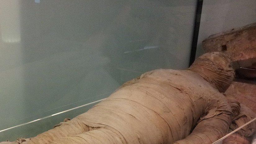 FOTO: Una momia bicéfala con cabeza de niña y de cocodrilo es expuesta por primera vez al público