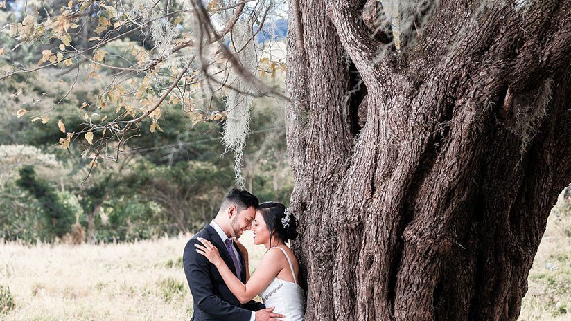 VIDEO: Recién casados se salvan por segundos de quedar aplastados por una rama de árbol en EE.UU.