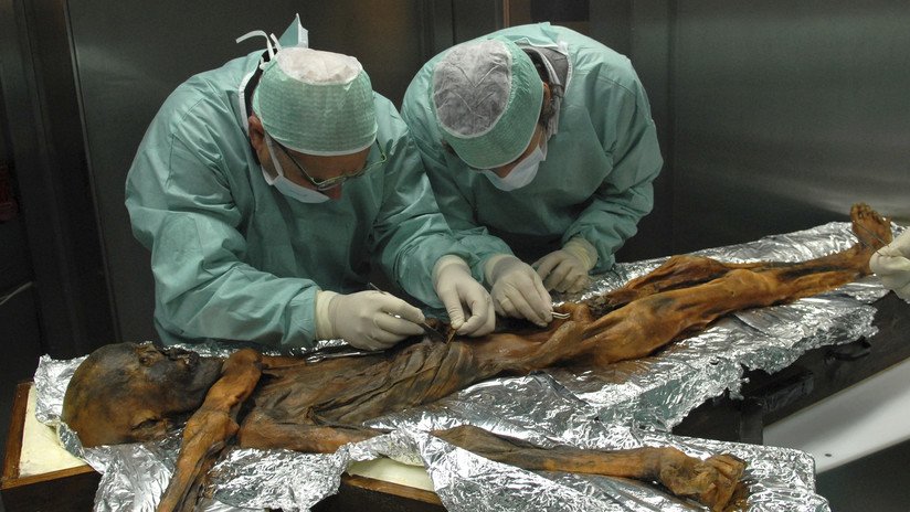 Revelan la última comida del Ozti antes de que le asesinaran hace 5.300 años