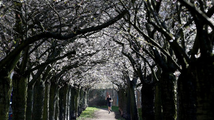 La Policía de Berlín resuelve el enigma de un misterioso corredor en coma encontrado en un parque