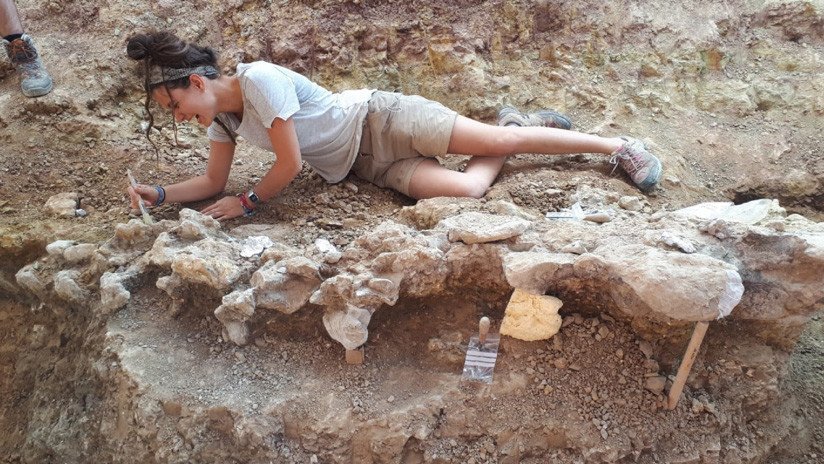 Hallan en España restos de dinosaurios de unos 145 millones de años de antigüedad
