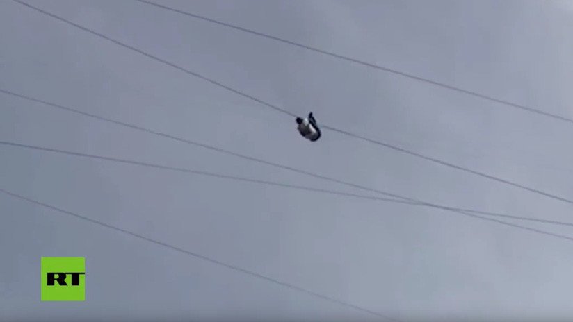 FUERTE VIDEO: Un hombre cae al vacío tras trepar un cable de alta tensión desde un décimo piso (+18)