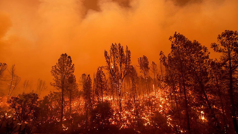 FOTOS: Un devastador incendio forestal devora "todo a su paso" en el Norte de California 
