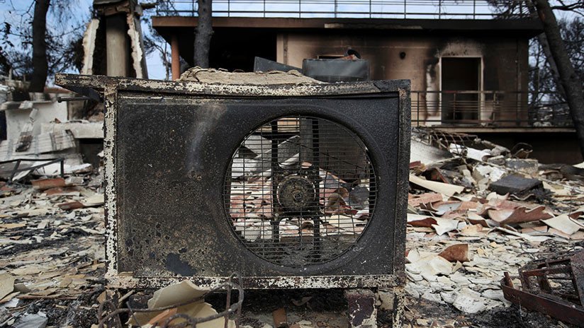 VIDEO: Un perro sobrevive a los incendios de Grecia tras pasar una semana en una casa destruida
