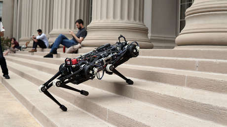 VIDEO: Un perro robot muestra su increíble equilibrio con varios ejercicios a ciegas