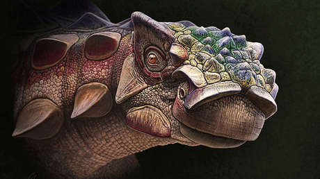 FOTO: Descubren una nueva especie de dinosaurio acorazado en EE.UU.