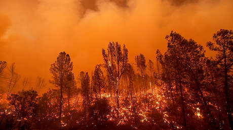 FOTOS: Un devastador incendio forestal devora "todo a su paso" en el Norte de California