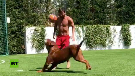 VIDEO: Messi vuelve loco a su enorme perro jugando al fútbol en el jardín de su casa