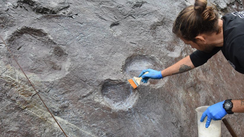 Descubren en una cantera de Inglaterra unas huellas de dinosaurio de hace 140 millones de años 