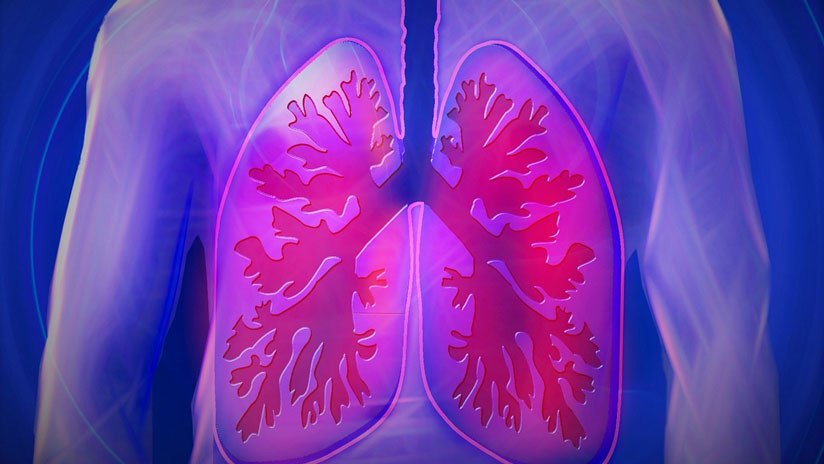 Descubren una nueva célula pulmonar hasta ahora desconocida