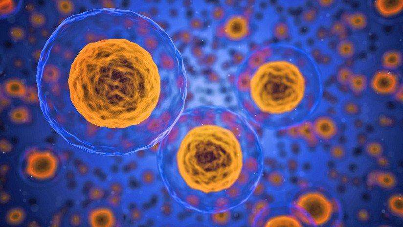 Científicos logran medir a qué velocidad avanza la muerte celular