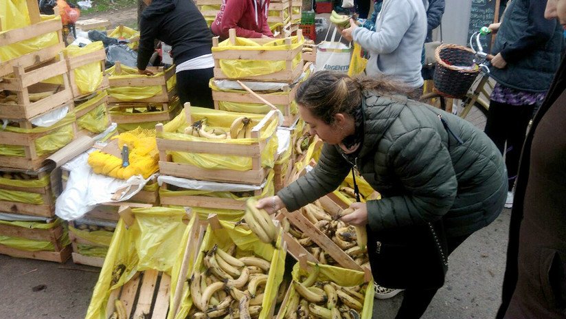 "No es imposible comer sin agroquímicos": Así es la Feria del Productor al Consumidor en Argentina