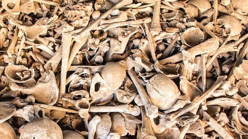 Hallan en Rusia restos de un híbrido entre el neandertal y el misterioso hombre de Denísova