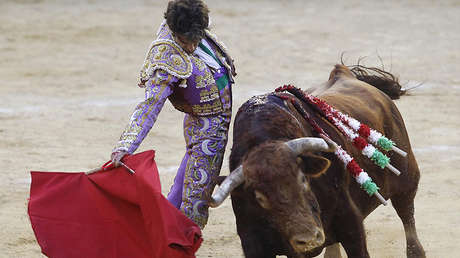 FUERTES IMÁGENES: Un toro con los cuernos en llamas embiste a una mujer que intentaba fotografiarlo