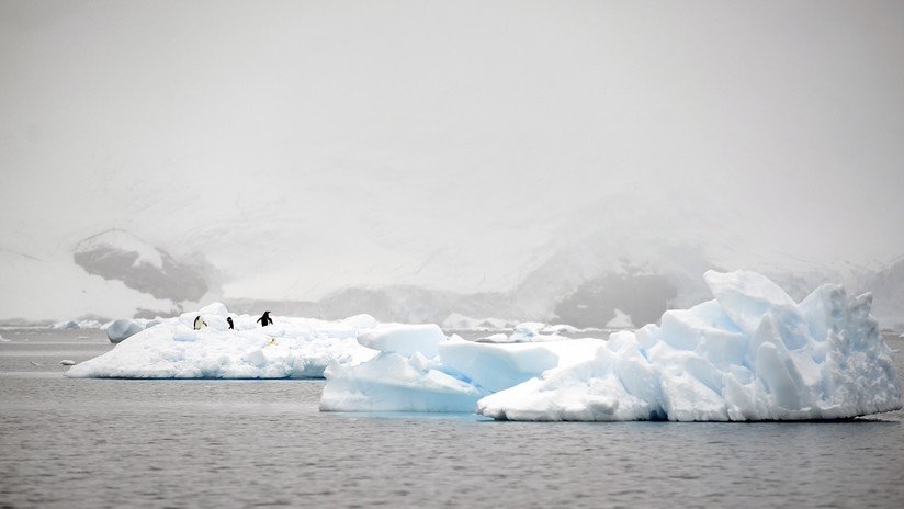 La Antártida como nunca la había visto: Publican el mapa más preciso del continente helado (FOTOS) 