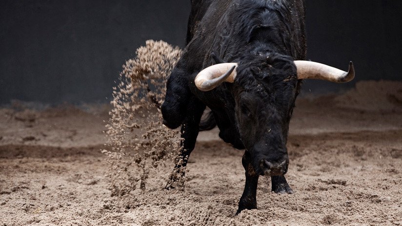 VIDEO: Un toro asesta varias cornadas a un hombre durante un festejo taurino en España