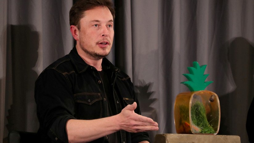 Una compañía de porno ofrece a Elon Musk dinero y marihuana para que actúe en uno de sus filmes