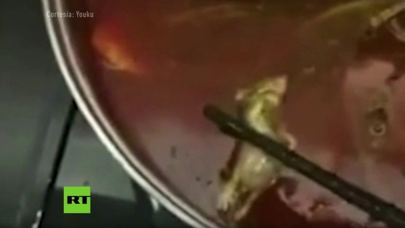 VIDEO: Una rata en una sopa le cuesta casi 200 millones de dólares a una cadena de restaurantes