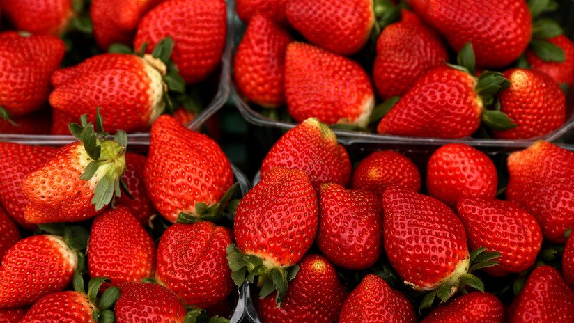 VIDEO, FOTOS: Encuentran agujas dentro de fresas en varios supermercados de Australia