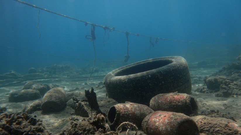 Océanos de basura: El espeluznante impacto de los humanos en la vida marina